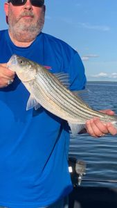 Striper Success! Big Catch at Lake Texoma