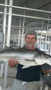 Lake Texoma Striped Bass Fishing