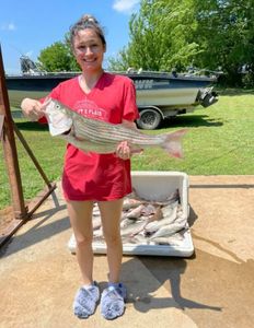 Striped bass caught while fishing in Kingston