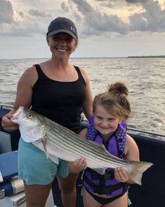 Striped bass caught by two people fishing in Kingston