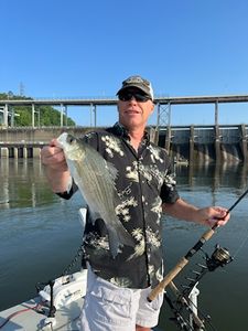 Great catch of 1 fish at Watts Bar Lake