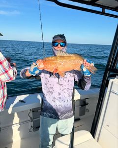 1 angler fishing in TN