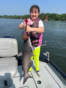 Channel catfish caught at Watts Bar Lake