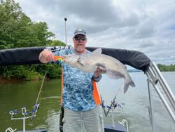 A fisherman with a blue catfish at Watts Bar Lake