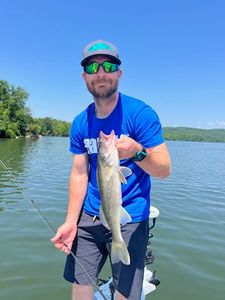 A single fisherman at Watts Bar Lake