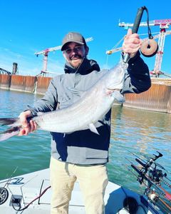Fishing in Tennessee with 1 fish