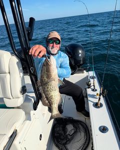 Gag grouper, 24 inches, caught while fishing in TN