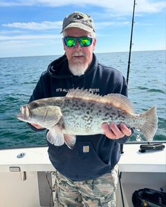 Gag Grouper caught at Watts Bar Lake
