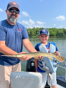 Longnose Gar, a freshwater fish, caught while fishing in Tennessee