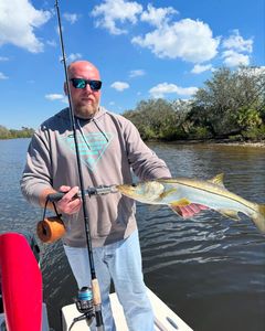A snook fish caught fishing in Tennessee