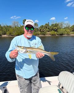 Snook fish caught at Watts Bar Lake