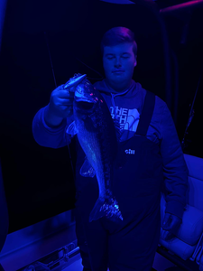 Successful angler with a catch in Georgia.