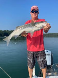 A lone angler with a 29-inch catch in Cumming