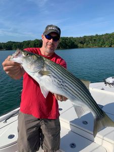 A striped bass caught during fishing in Cumming