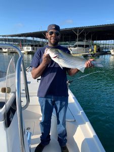 Striped bass caught while fishing in Cumming