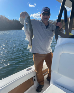 Striped bass caught while fishing in Cumming