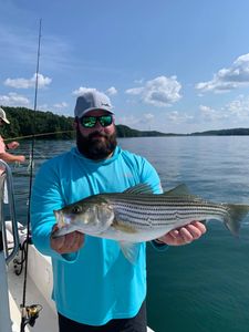 Striped bass caught fishing in Cumming