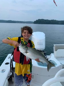 Two striped bass caught in Cumming