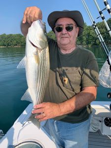 Striped bass fishing in Cumming