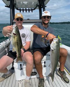 Two striped bass caught while fishing in GA