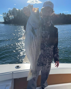 Striped bass fishing in GA