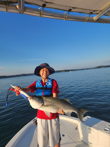 Striped bass caught in Georgia fishing