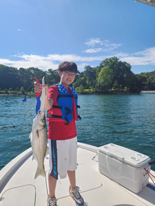 Striped bass caught in GA