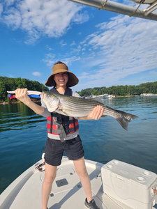 Photo of a striped bass caught in Cumming, Georgia