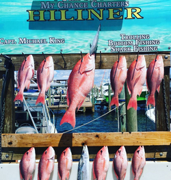 Exciting fishing trip in Destin, 11 fish caught