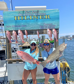 7 fish caught in Destin during fishing trip