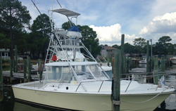 Fishing in FL, best, great