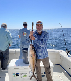 A fisherman holding a huge greater amberjack fish in Destin