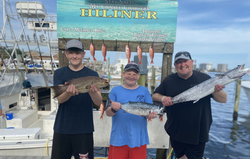 3 king mackerel and cero mackerel fish caught in Destin