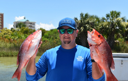 Two mangrove red snapper, 14 inches long, caught while fishing in FL