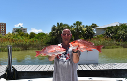 Two grey snapper fish caught in Destin, Florida