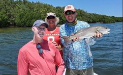 Family day at Pine Island