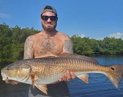 Big Red drum caught in Pine Island 