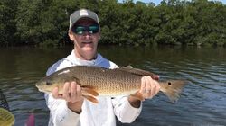 Fishing Red Drum in Pine Island