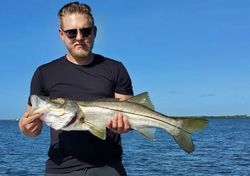 Caught this snook at Bokeelia, FL