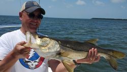 Fishing Snook inshore