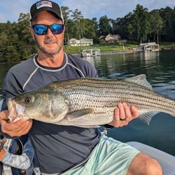 Today's prize catch: A magnificent Striped Bass