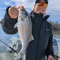 From water to wonder – Striped Bass magic! 