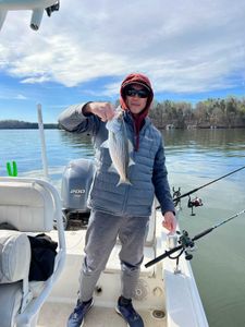 Endless fishing fun on Lake Lanier’s blue waves