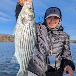 Every cast brings adventure on Lake Lanier