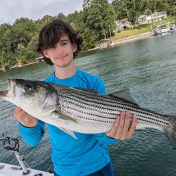 A day of fishing adventures under blue skies