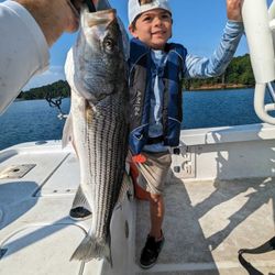 Lake Lanier fishing trips full of excitement