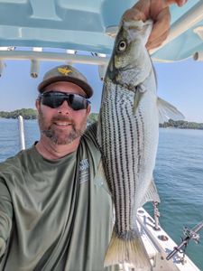 Fishing tales begin on the shores of Lake Lanier