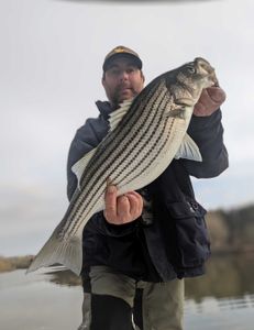 Calm waters and big catches at Lake Lanier