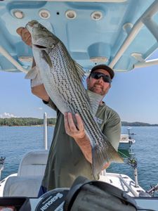 Exploring hidden fishing spots on Lake Lanier