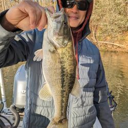  - Spotted Bass